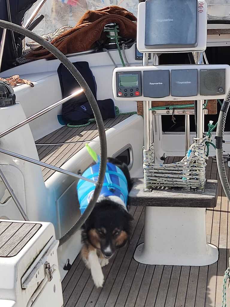 Morze Współpracy: Pod żaglami Partnerstwa Kołobrzeg i Barth